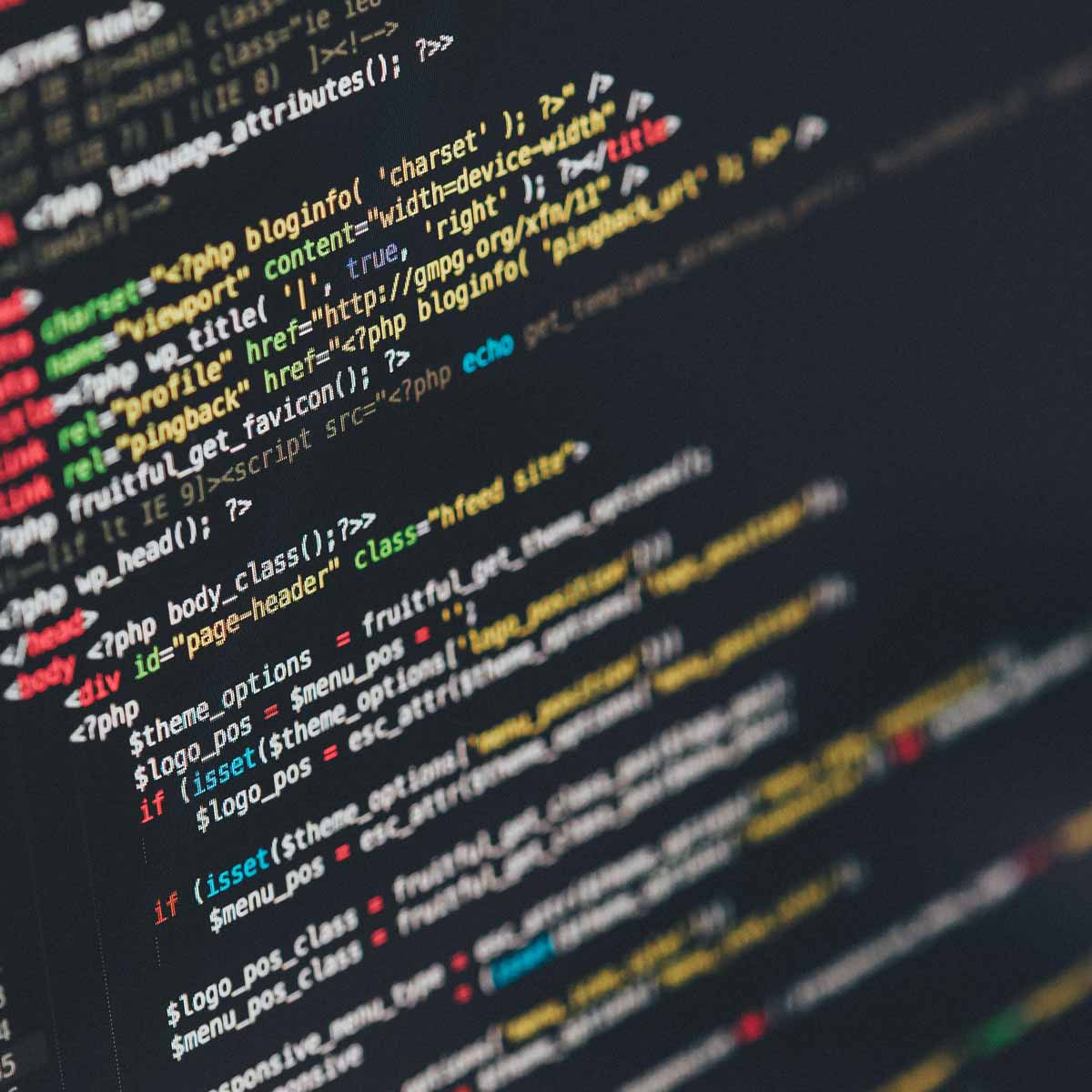 Wordpress Multisite Specialists